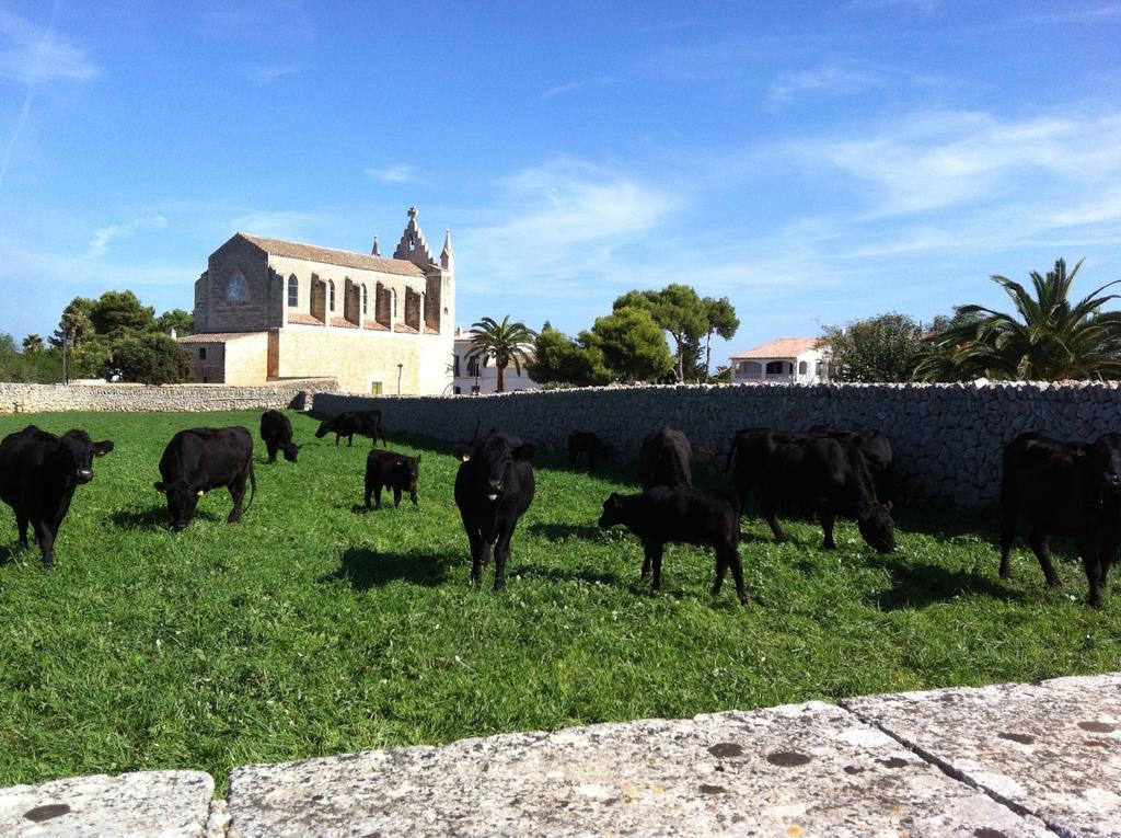 Llucmaçanes Gran Agroturismo Port-Mahon Extérieur photo